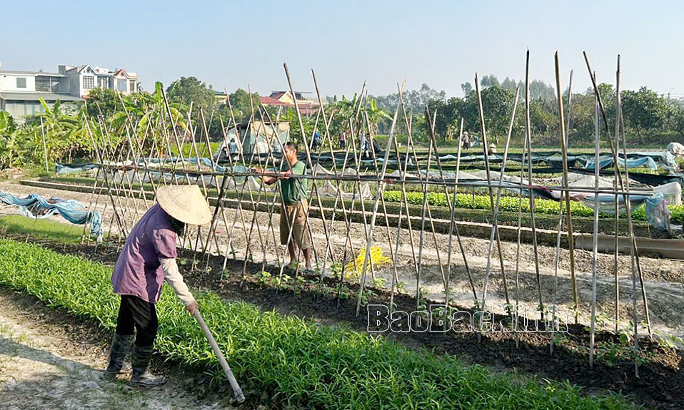 Hội Nông dân thành phố Bắc Ninh xây dựng tổ chức Hội vững mạnh