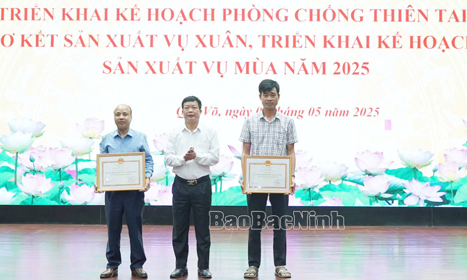 Thị xã Quế Võ phấn đấu gieo trồng 7.000 ha cây vụ mùa
