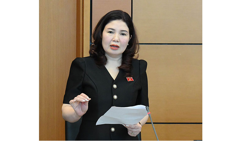 Kỳ họp thứ 9, Quốc hội khóa XV: Thảo luận tổ về các dự thảo Luật Tổ chức TAND, VKSND và Luật Thanh tra (sửa đổi)