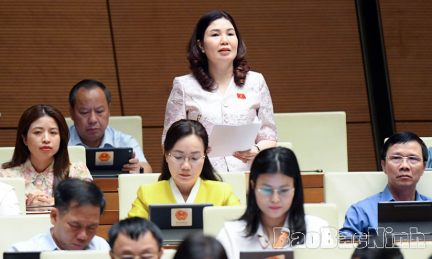 Kỳ họp thứ 9, Quốc hội khóa XV: Đại biểu Trần Thị Vân đề nghị bãi bỏ công bố hợp quy với sản phẩm hàng hóa