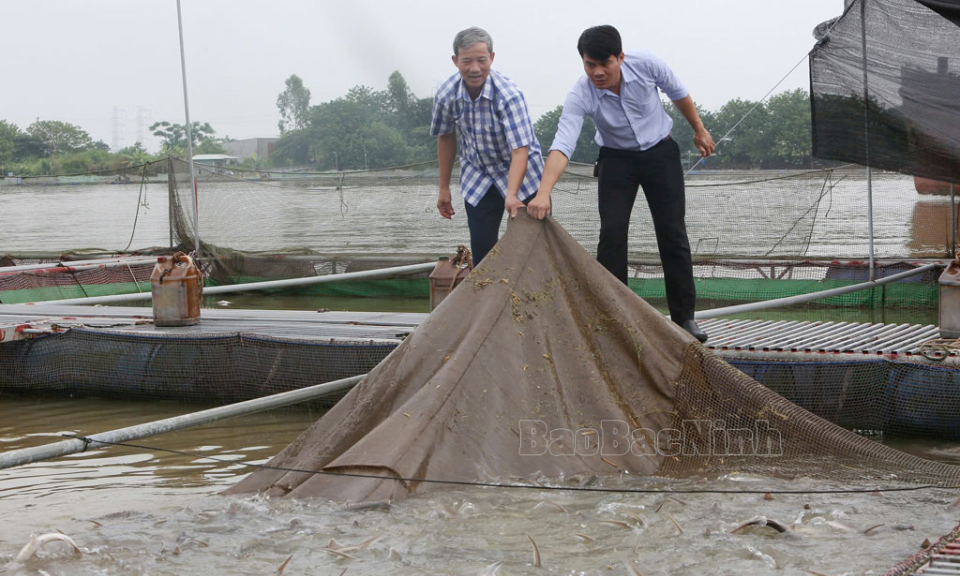 Hơn 3 nghìn lượt hội viên nông dân được vay vốn mở rộng sản xuất
