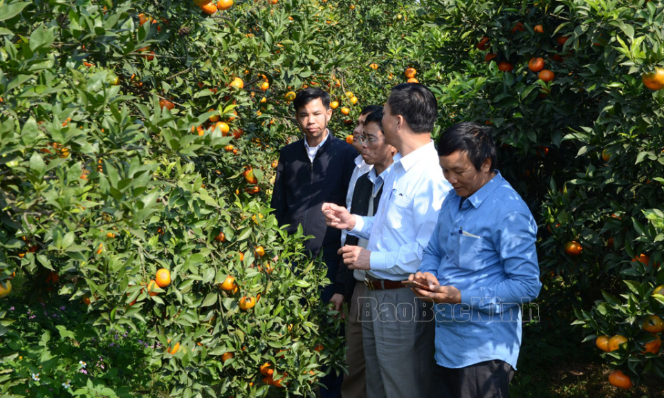 Thúc đẩy phát triển nông nghiệp tuần hoàn