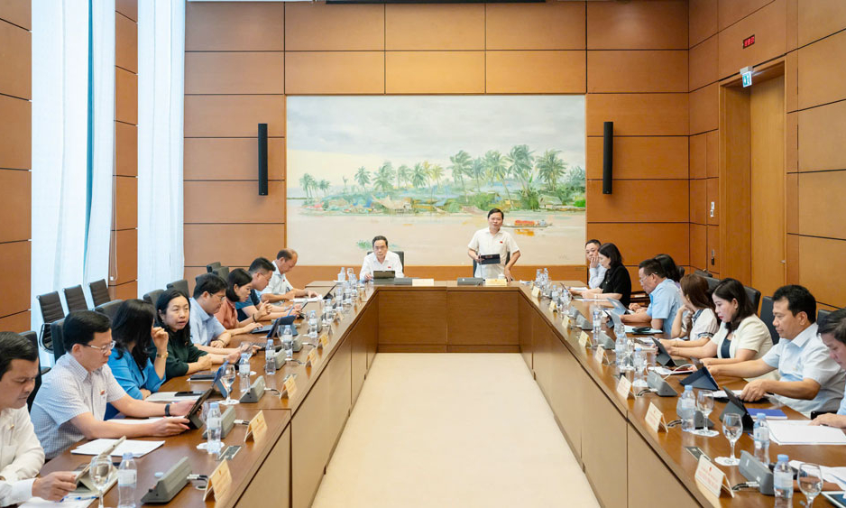 Thảo luận tổ về phát triển kinh tế tư nhân