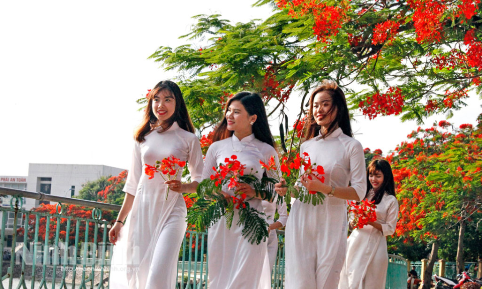 Những tờ giấy trắng