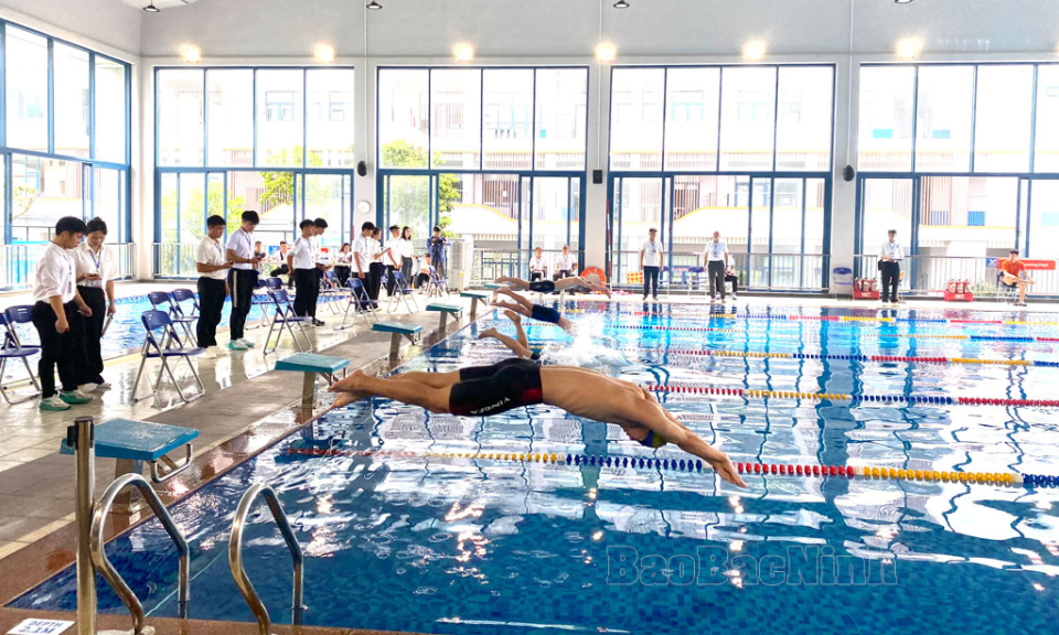Gần 300 vận động viên tham gia môn bơi Giải Thể thao học sinh phổ thông tỉnh