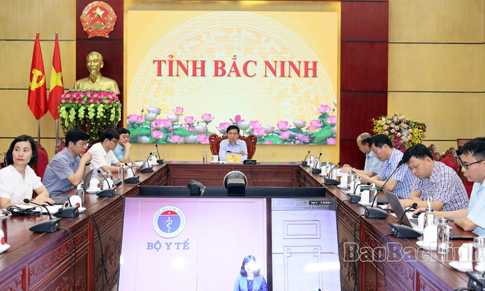 Hội nghị trực tuyến đánh giá công tác triển khai thực hiện Công điện số 65 và Chỉ thị số 13 của Thủ tướng Chính phủ