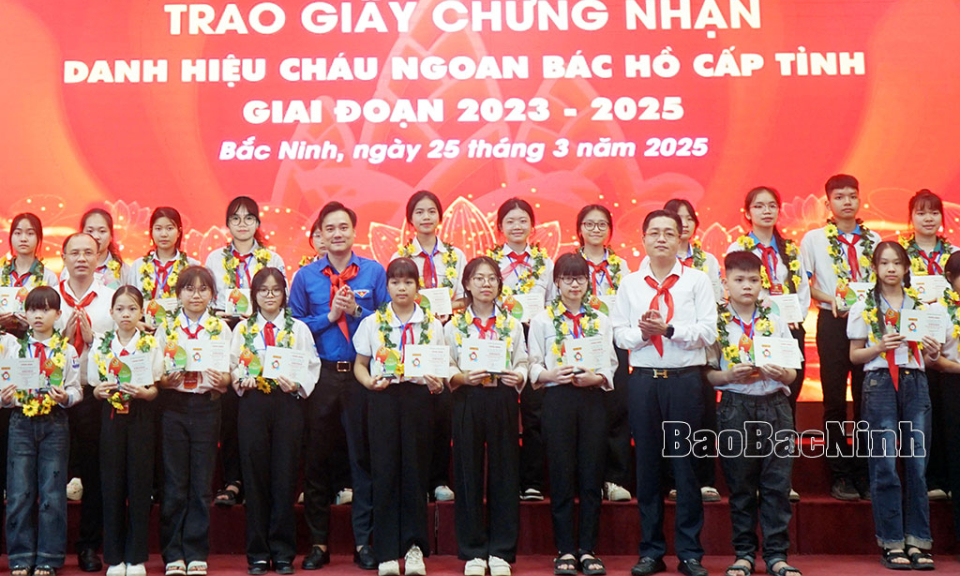 Gương sáng đội viên Phan Thị Hoàng Anh