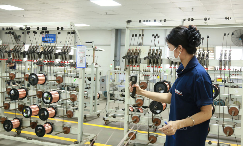 Từ nền tảng chính sách đến chuyển mình mạnh mẽ