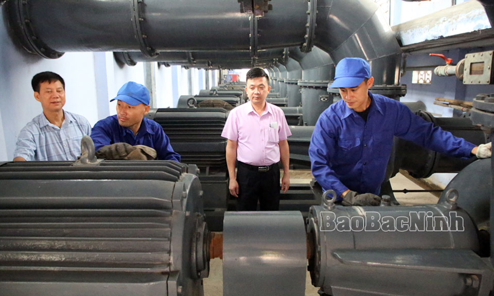 Chủ động tiêu úng  bảo vệ lúa xuân cuối vụ