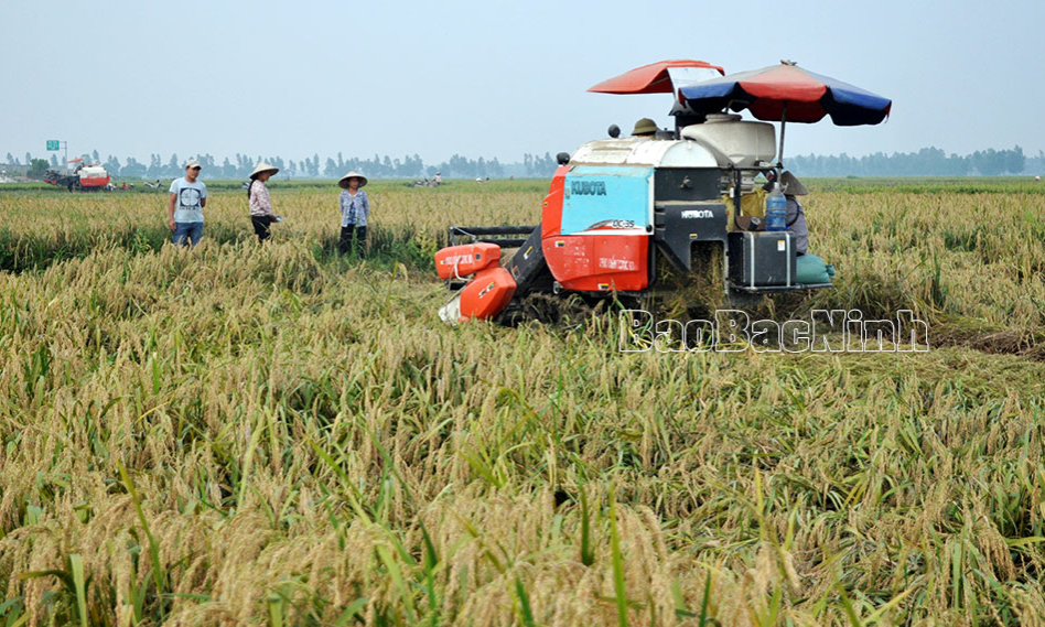 Thành lập mới 10 Hợp tác xã