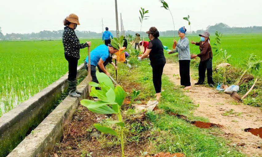Hội Nông dân các cấp trồng gần 51.700 cây xanh các loại