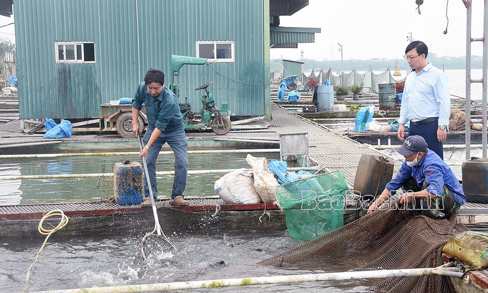 Mở rộng các mô hình thủy đặc sản