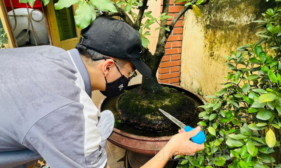 Bắc Ninh ghi nhận 2 ca sốt rét ngoại lai trở về từ châu Phi