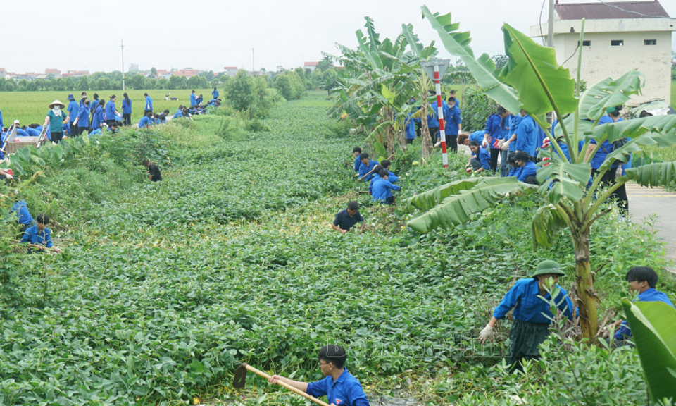 Chung tay bảo vệ môi trường từ những việc giản dị