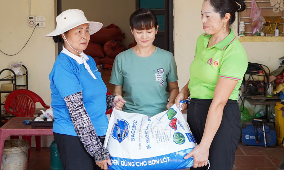 Hơn 394 tỷ đồng hỗ trợ hội viên phụ nữ phát triển kinh tế