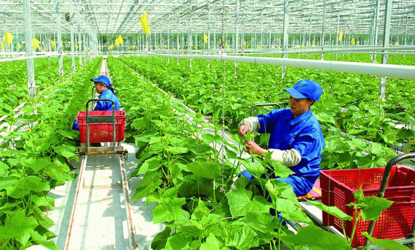 Chuyển đổi xanh mở ra cơ hội việc l&agrave;m trong nhiều lĩnh vực