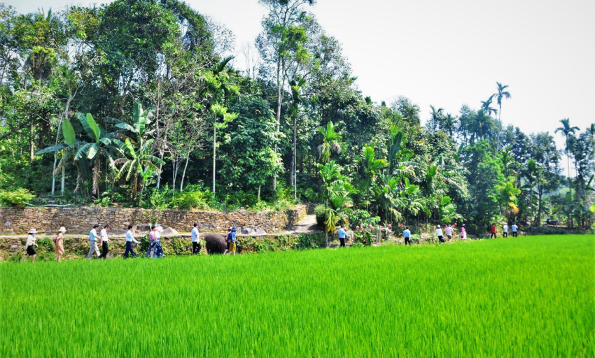 Đ&agrave; Nẵng: C&ocirc;ng bố Top 100 điểm chạm, mở lối kh&aacute;m ph&aacute; du lịch bản địa