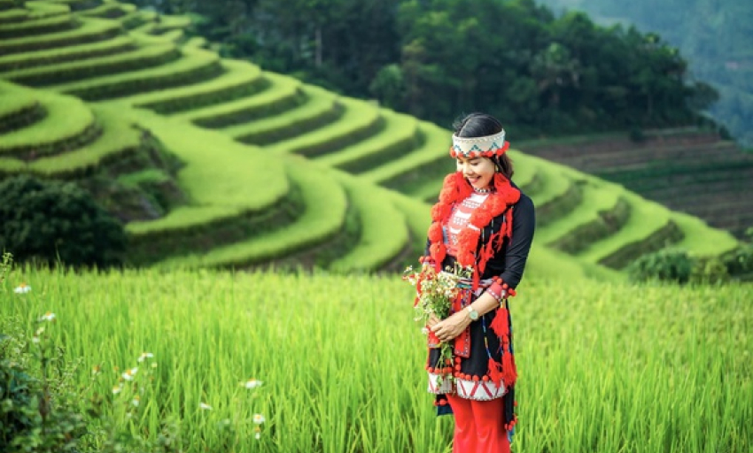 M&ugrave;a v&agrave;ng gọi kh&aacute;ch, Hồng Th&aacute;i t&igrave;m hướng ph&aacute;t triển du lịch bốn m&ugrave;a