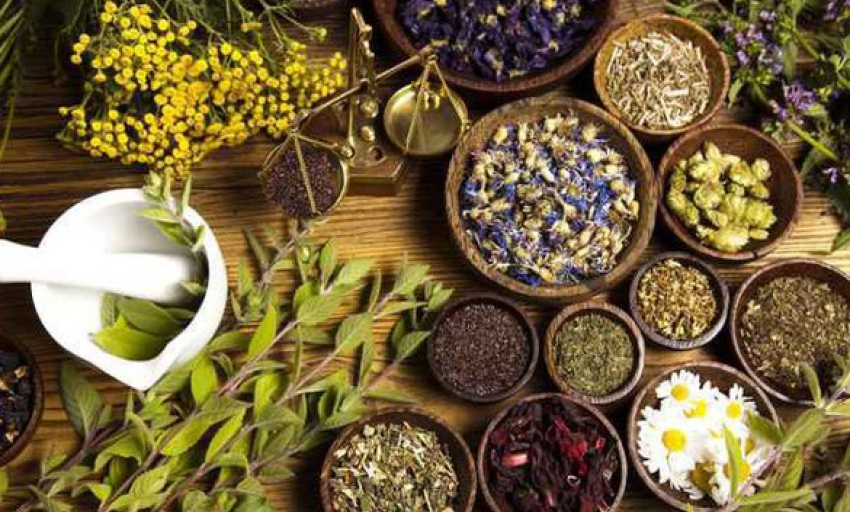 X&acirc;y dựng y học cổ truyền th&agrave;nh bộ phận quan trọng của hệ thống y tế quốc gia