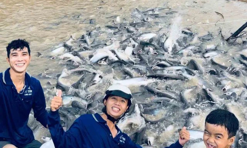 Nghĩa hiệp đời thường: Những ch&agrave;ng trai đưa c&aacute; &ldquo;khủng&rdquo; trở về thi&ecirc;n nhi&ecirc;n