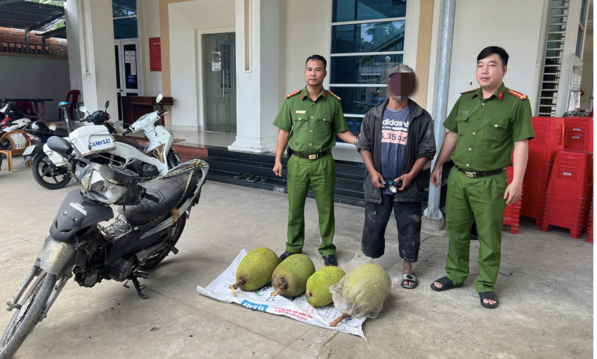 Tuần tra l&uacute;c rạng s&aacute;ng, c&ocirc;ng an bắt giữ 3 đối tượng trộm 6 tr&aacute;i m&iacute;t Th&aacute;i