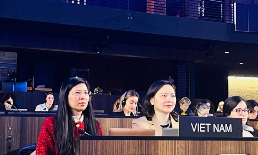 Việt Nam tiếp tục hợp t&aacute;c với cộng đồng quốc tế nhằm triển khai hiệu quả C&ocirc;ng ước 2005