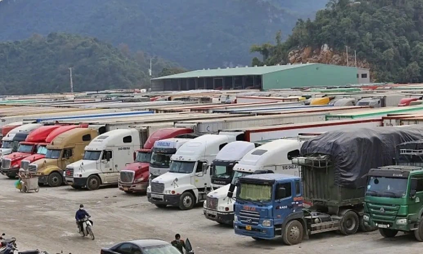 VCCI kiến nghị Thủ tướng cho k&eacute;o d&agrave;i thời hạn tạm ngưng Nghị định 46