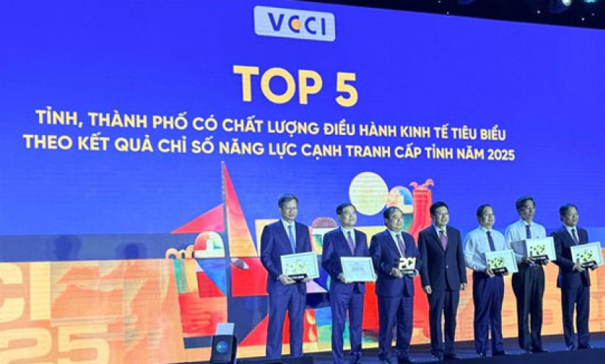 Lần đầu ti&ecirc;n c&ocirc;ng bố Chỉ số Hiệu quả Kinh tế tư nh&acirc;n: TPHCM dẫn đầu