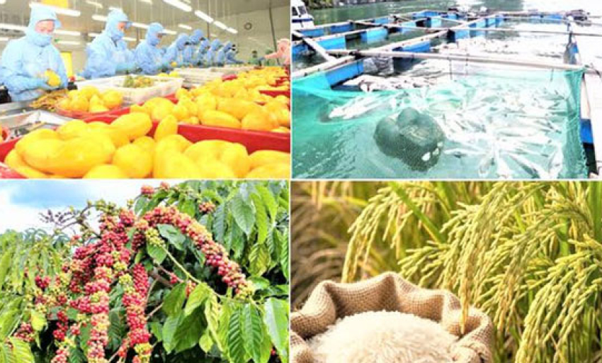 H&agrave;nh động quyết liệt để đưa xuất khẩu n&ocirc;ng, l&acirc;m, thủy sản vượt mốc 74 tỷ USD