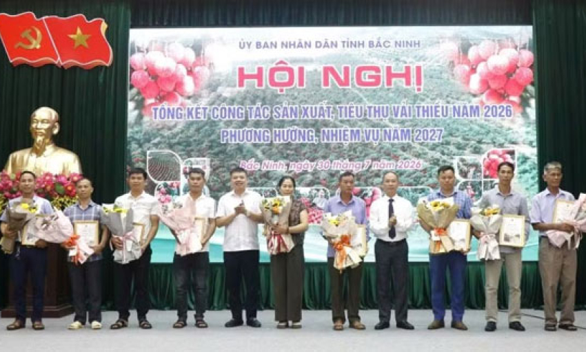 Vụ vải thiều Bắc Ninh năm 2026: Sản lượng giảm, gi&aacute; cao kỷ lục