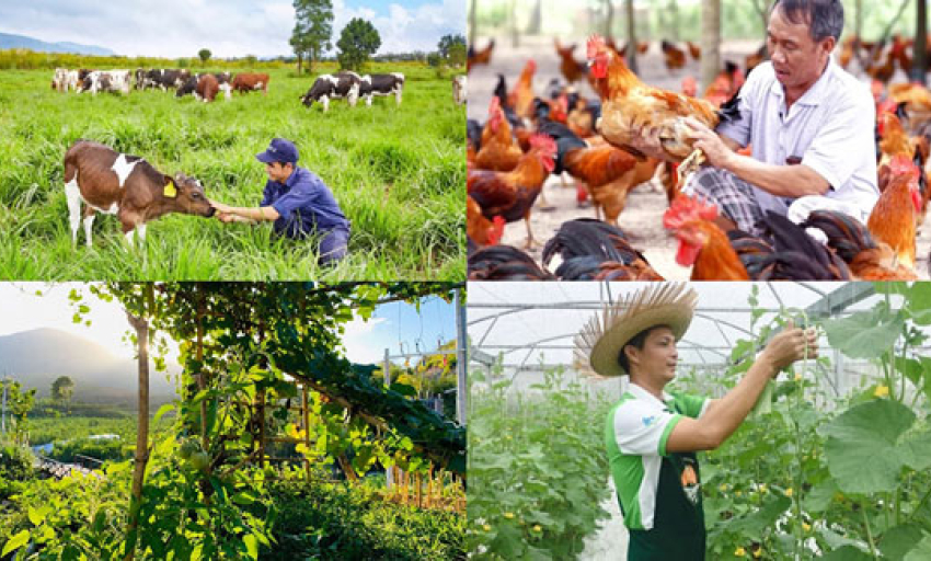 Ch&iacute;nh s&aacute;ch mới c&oacute; hiệu lực từ th&aacute;ng 8/2026