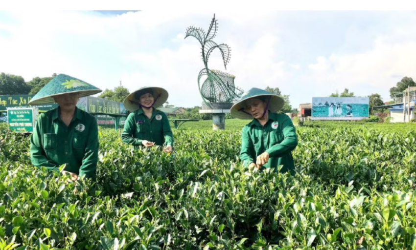 Chuyển đổi số trong sản xuất n&ocirc;ng nghiệp