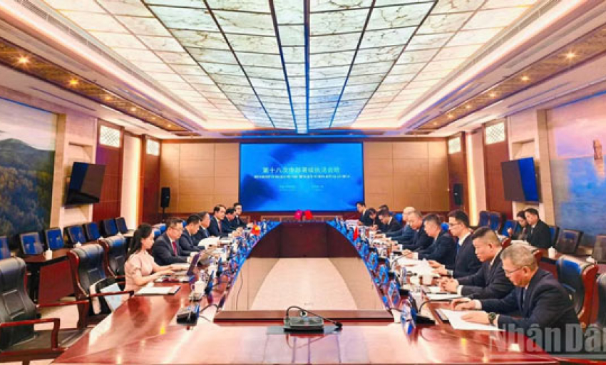 Hợp t&aacute;c quốc tế lĩnh vực hải quan trong t&igrave;nh h&igrave;nh mới