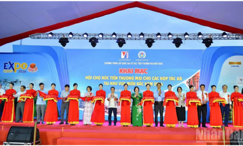Mở rộng thị trường cho hợp t&aacute;c x&atilde; miền bắc
