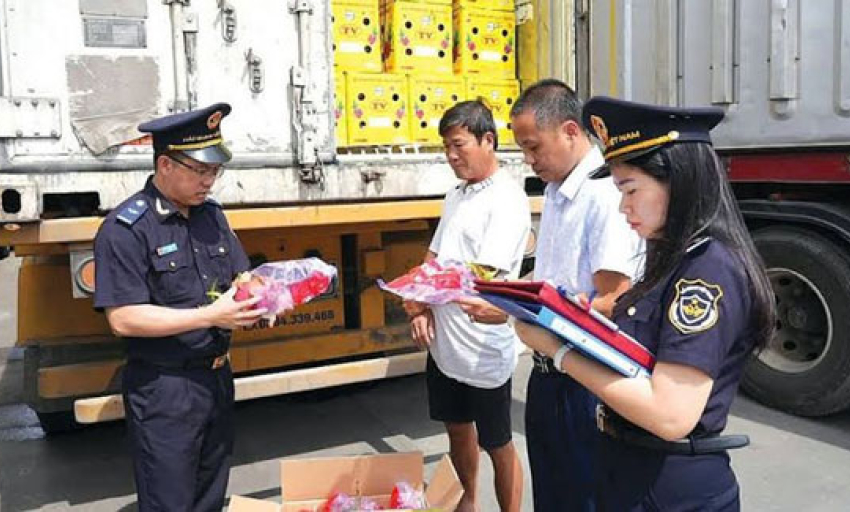 Nghỉ lễ 2/9 d&agrave;i 5 ng&agrave;y, hải quan trực 24/7 th&ocirc;ng quan h&agrave;ng h&oacute;a
