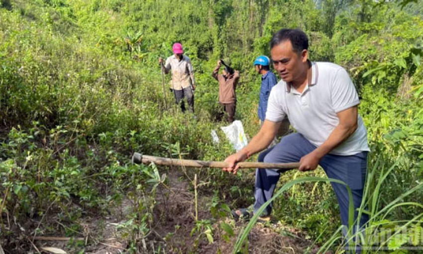 Sản xuất n&ocirc;ng, l&acirc;m nghiệp v&agrave; thủy sản 7 th&aacute;ng qua duy tr&igrave; ổn định