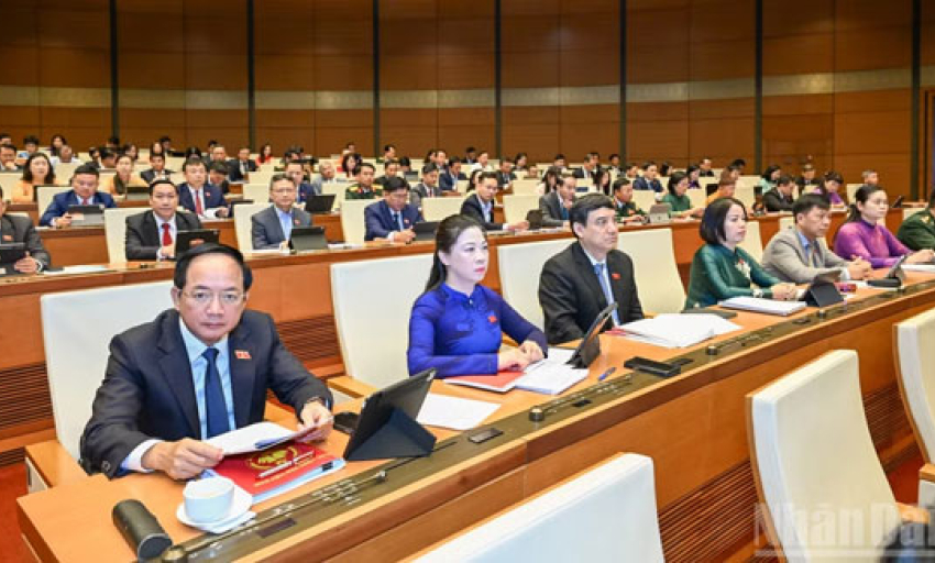 Sửa Luật Hải quan: Cải c&aacute;ch thủ tục hải quan, th&uacute;c đẩy sự tu&acirc;n thủ tự nguyện