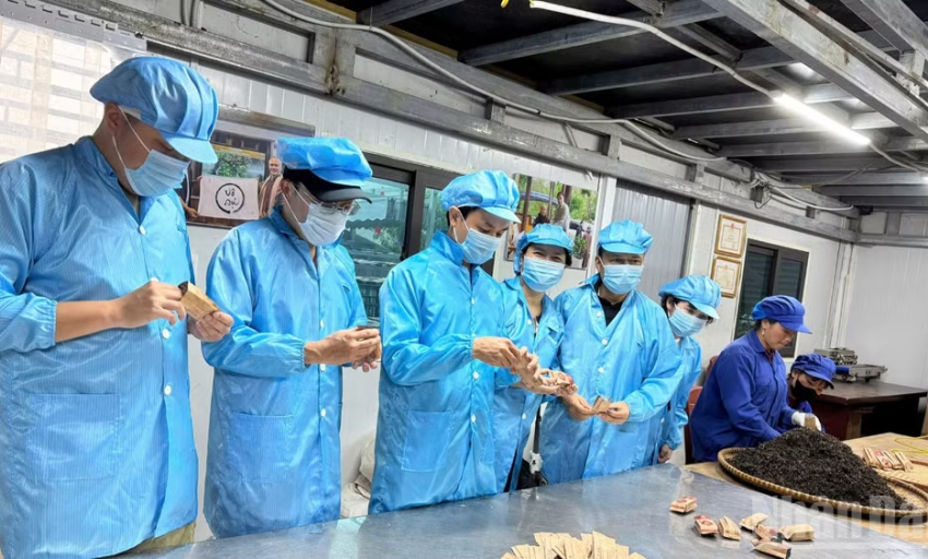 Th&aacute;ng 7/2026, đời sống d&acirc;n cư duy tr&igrave; ổn định, c&ocirc;ng t&aacute;c an sinh x&atilde; hội tiếp tục được quan t&acirc;m