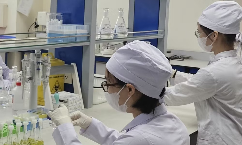 Triển khai đồng bộ c&aacute;c giải ph&aacute;p quản l&yacute; chất lượng thuốc