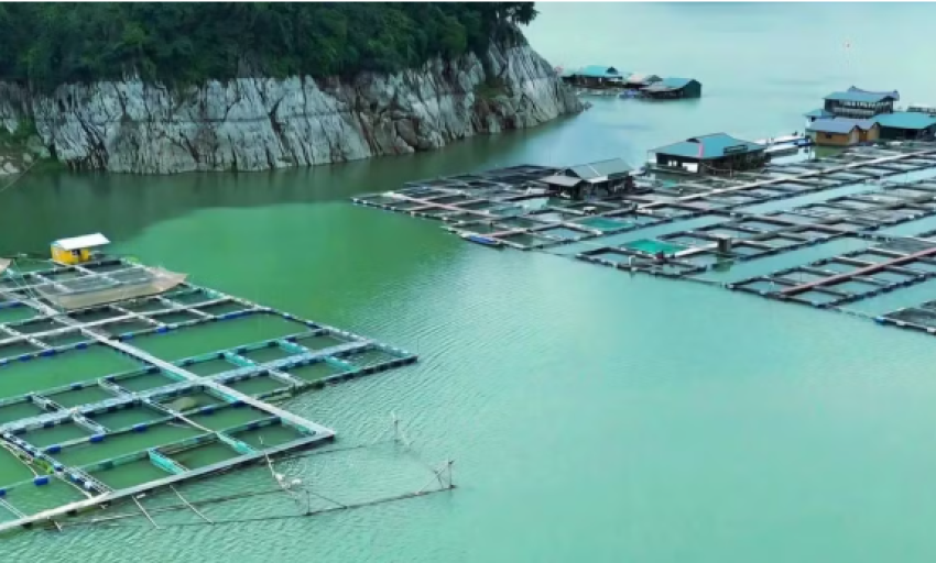 Ứng dụng khoa học cho chuỗi gi&aacute; trị n&ocirc;ng nghiệp xanh