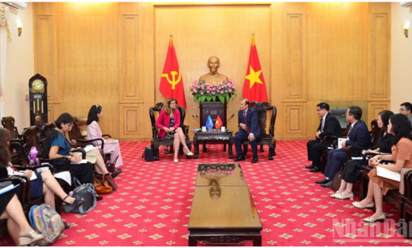 Việt Nam v&agrave; Li&ecirc;n hợp quốc đẩy mạnh hợp t&aacute;c nghi&ecirc;n cứu v&agrave; tư vấn ch&iacute;nh s&aacute;ch về quyền trẻ em