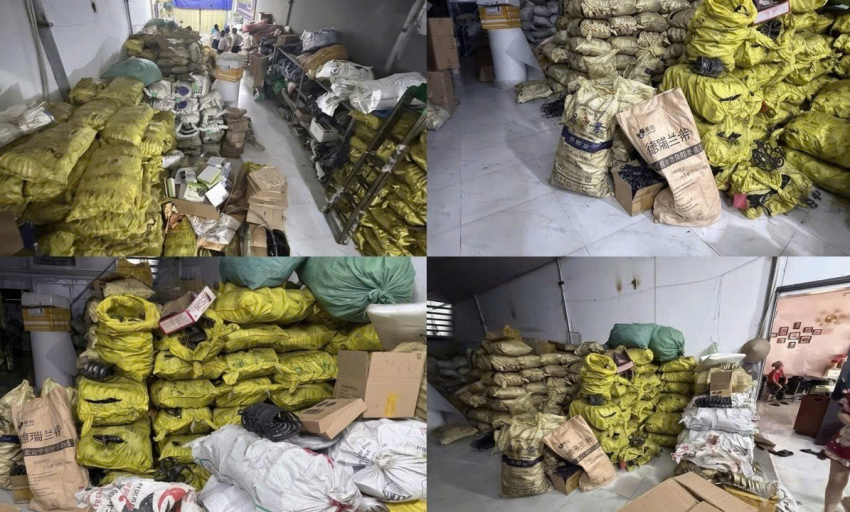 Ph&aacute;t hiện, thu giữ 4.500 bẫy kim loại g&acirc;y hại đến c&aacute;c lo&agrave;i động vật hoang d&atilde;, chim di cư