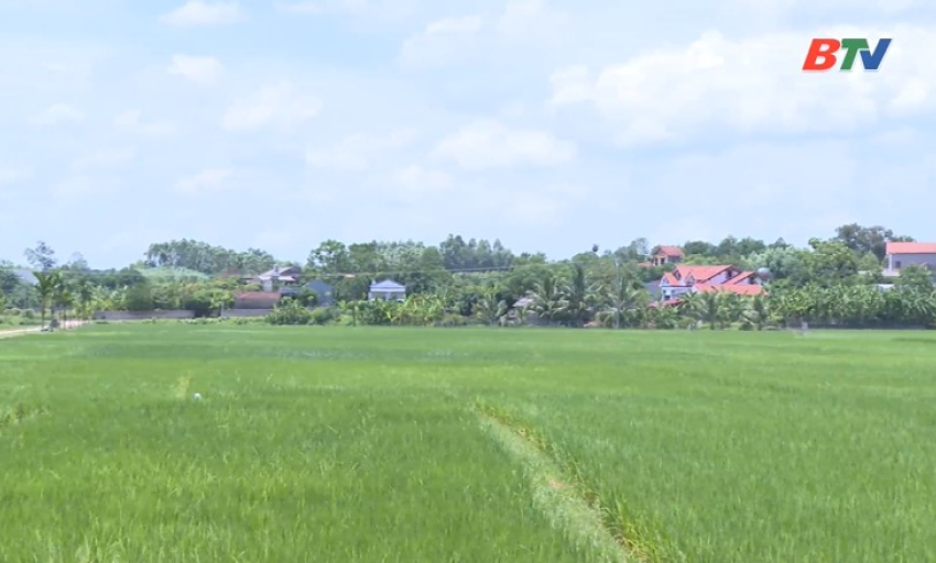 D&acirc;n tộc v&agrave; ph&aacute;t triển: Ph&aacute;t huy hiệu quả vốn giảm ngh&egrave;o