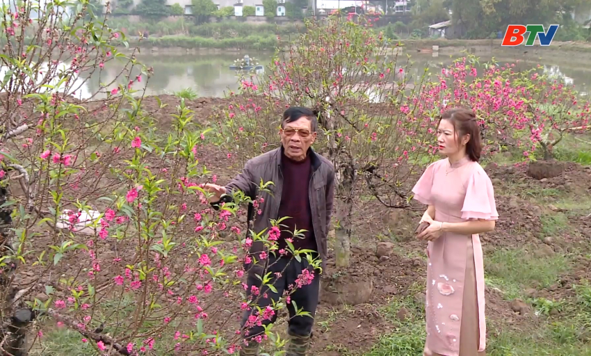 Người d&acirc;n ở Cảng h&agrave;ng kh&ocirc;ng quốc tế Gia B&igrave;nh đ&oacute;n Tết