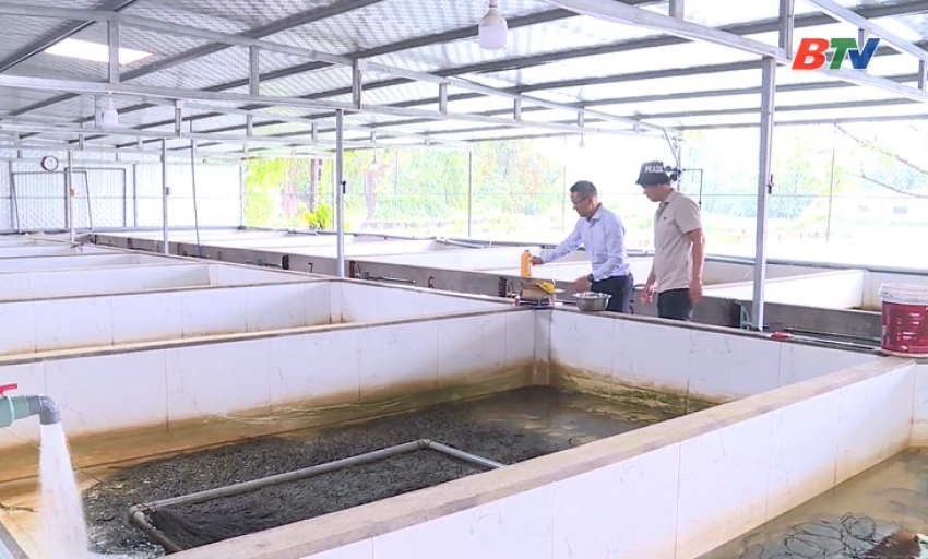  Giảm ngh&egrave;o bền vững: Nu&ocirc;i lươn kh&ocirc;ng b&ugrave;n &ndash; hướng đi mới trong ph&aacute;t triển kinh tế