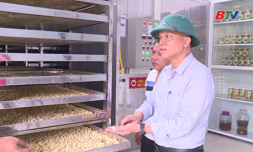 Giảm ngh&egrave;o bền vững: Th&uacute;c đẩy giảm ngh&egrave;o bền vững v&ugrave;ng d&acirc;n tộc thiểu số