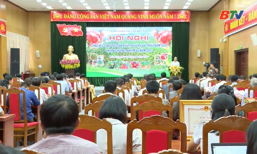 Tu&acirc;n thủ chặt chẽ quy tr&igrave;nh an to&agrave;n, gắn quảng b&aacute; x&uacute;c tiến vải thiều với ph&aacute;t triển du lịch