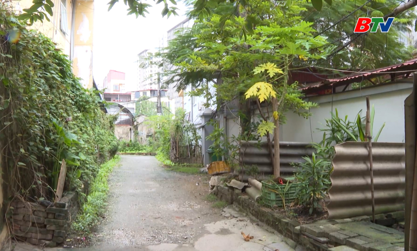 Hộp thư truyền hình ngày 14-11-2025