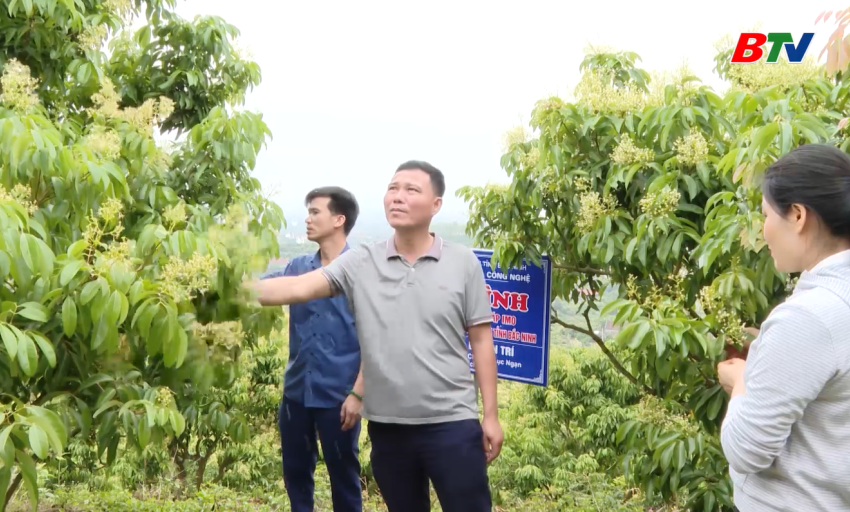 Khoa học C&ocirc;ng nghệ: Đảm bảo ho&agrave;n thiện quy chuẩn, ti&ecirc;u chuẩn chất lượng h&agrave;ng h&oacute;a