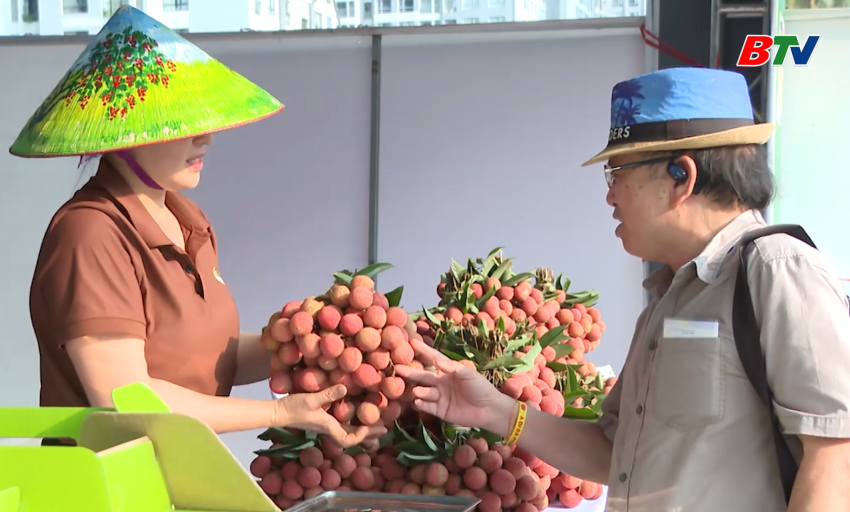 M&ugrave;a vụ vải thiều bội thu